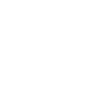 Festmag