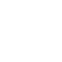 New Noise France